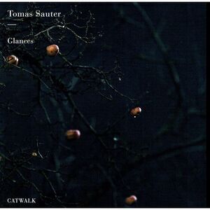 Sauter / Sauter - Glances  CD